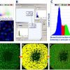 Pósters de ensayos celulares - IN-Cell Analyzer 6000