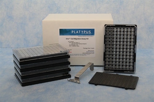 细胞迁移检测试剂盒，包含五个平板（每个平板 96 孔）