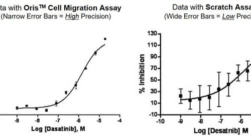 comparison of data collected with oris cell migration assay vs scratch assay
