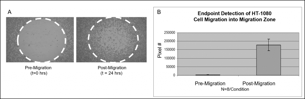 End-point detection of cell migration obtained using Wright-Giemsa colorimetric stain.