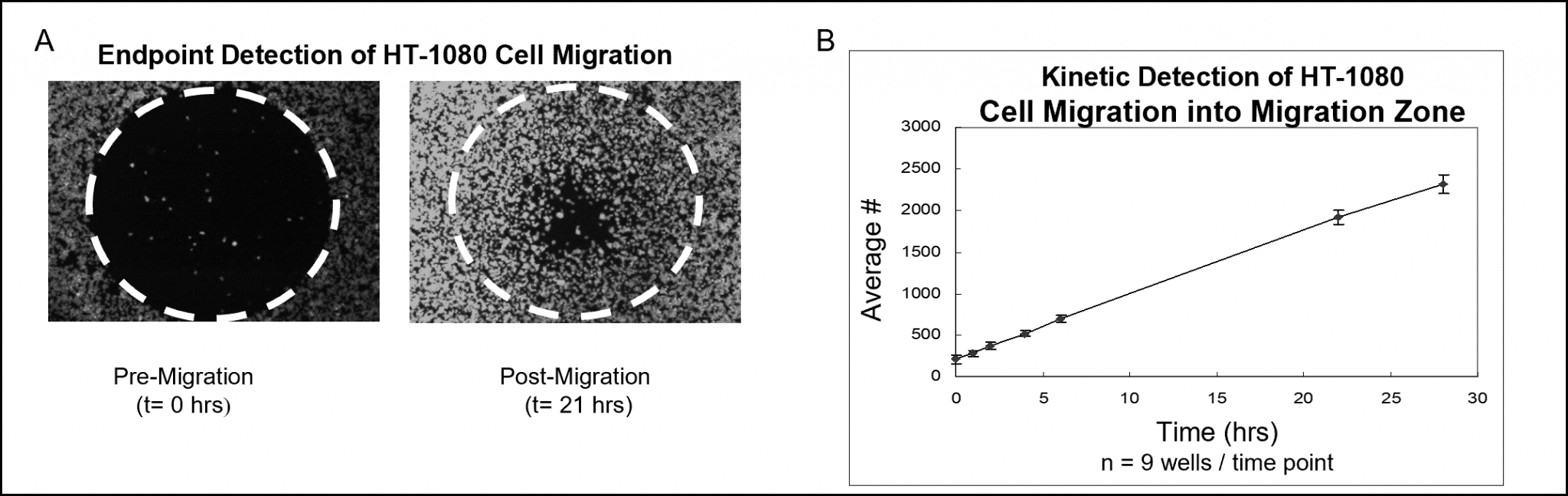 Protocol for Cell Migration Assay Platypus Technologies