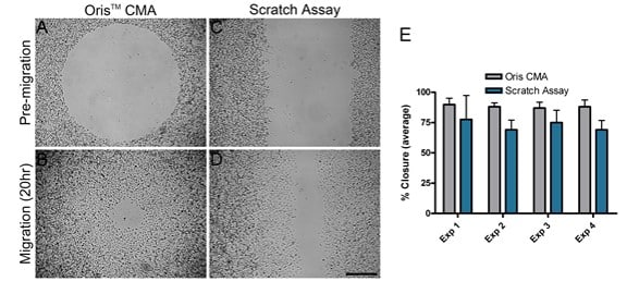 Comparison of oris cell migration assay with scratch assay.